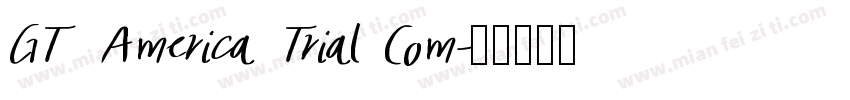 GT America Trial Com字体转换